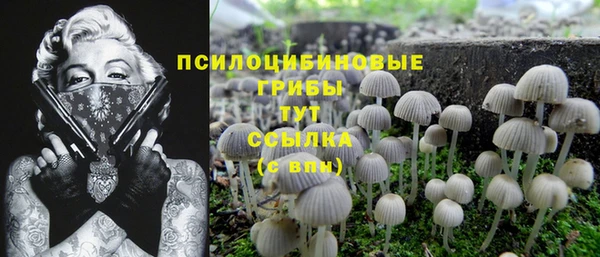 героин Алзамай